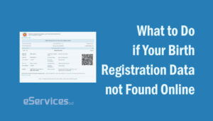 What to Do if Your Birth Registration Data is not Found Online