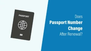 Will Your Passport Number Change After Renewal?